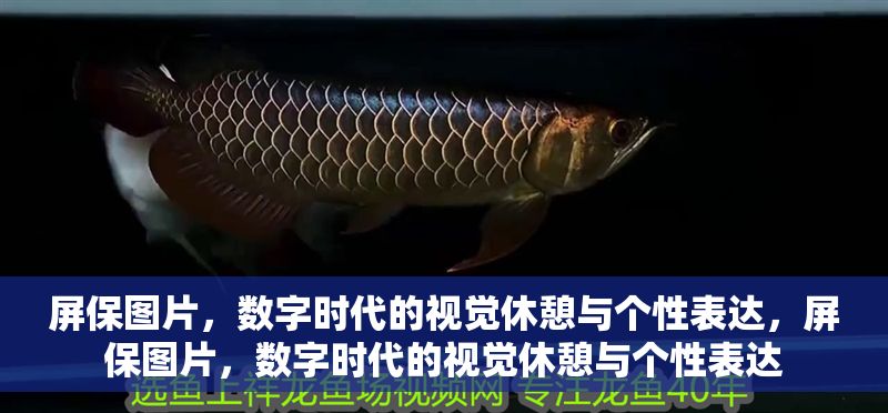 屏保圖片，數(shù)字時(shí)代的視覺休憩與個(gè)性表達(dá)，屏保圖片，數(shù)字時(shí)代的視覺休憩與個(gè)性表達(dá) 屏保圖片，數(shù)字時(shí)代的視覺休憩與個(gè)性表達(dá)，屏保圖片，數(shù)字時(shí)代的視覺休憩與個(gè)性表達(dá) 龍魚百科 第1張