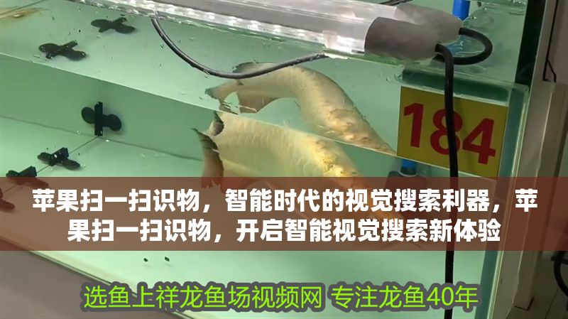 蘋果掃一掃識物，智能時代的視覺搜索利器，蘋果掃一掃識物，開啟智能視覺搜索新體驗 蘋果掃一掃識物，智能時代的視覺搜索利器，蘋果掃一掃識物，開啟智能視覺搜索新體驗 龍魚百科 第1張