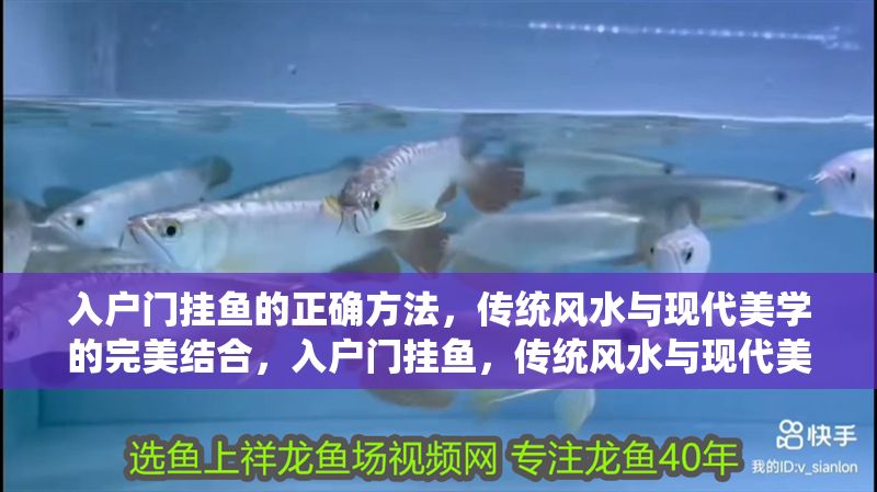 入戶門掛魚的正確方法，傳統風水與現代美學的完美結合，入戶門掛魚，傳統風水與現代美學的和諧掛法指南