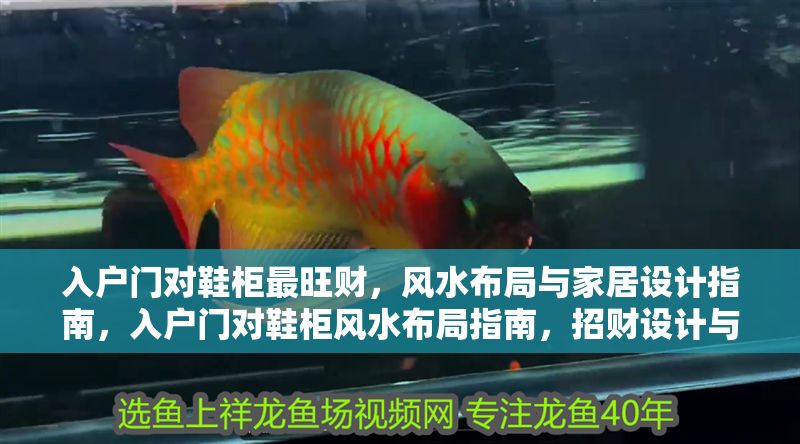 入戶門對鞋柜最旺財，風水布局與家居設計指南，入戶門對鞋柜風水布局指南，招財設計與家居搭配技巧