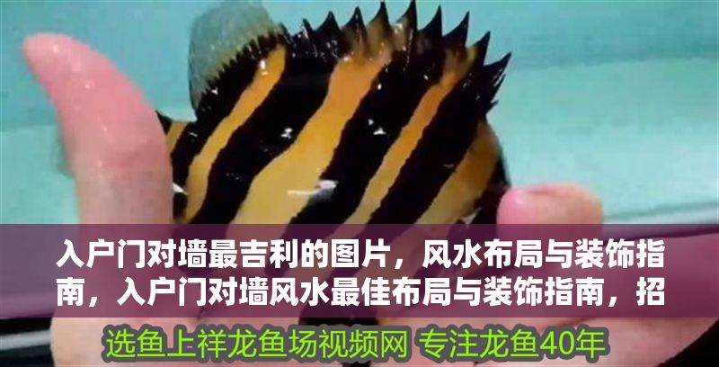 入戶門對墻最吉利的圖片，風水布局與裝飾指南，入戶門對墻風水最佳布局與裝飾指南，招財納福圖解