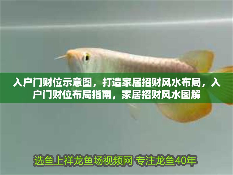 入戶門財位示意圖，打造家居招財風水布局，入戶門財位布局指南，家居招財風水圖解 入戶門財位示意圖，打造家居招財風水布局，入戶門財位布局指南，家居招財風水圖解 龍魚百科 第1張