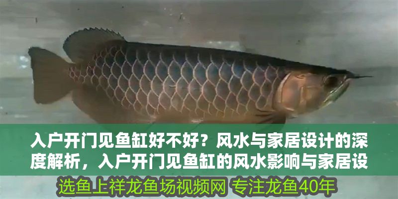 入戶開門見魚缸好不好？風水與家居設計的深度解析，入戶開門見魚缸的風水影響與家居設計解析