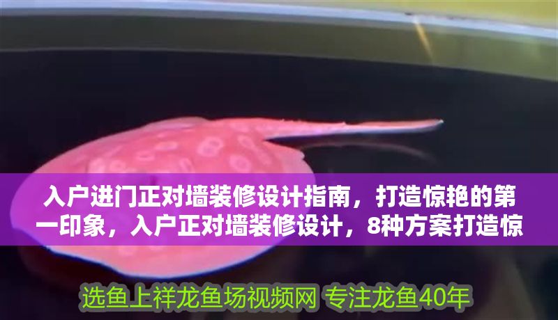 入戶進(jìn)門正對墻裝修設(shè)計(jì)指南,打造驚艷的第一印象,入戶正對墻裝修設(shè)計(jì),8種方案打造驚艷第一印象 龍魚百科 第1張 入戶進(jìn)門正對墻裝修設(shè)計(jì)指南,打造驚艷的第一印象,入戶正對墻裝修設(shè)計(jì),8種方案打造驚艷第一印象 入戶進(jìn)門正對墻裝修設(shè)計(jì)指南,打造驚艷的第一印象,入戶正對墻裝修設(shè)計(jì),8種方案打造驚艷第一印象 龍魚百科 第1張