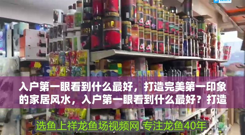 入戶第一眼看到什么最好，打造完美第一印象的家居風水，入戶第一眼看到什么最好？打造完美第一印象的家居風水指南