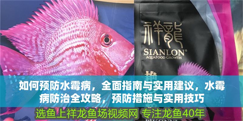 如何預防水霉病，全面指南與實用建議，水霉病防治全攻略，預防措施與實用技巧 如何預防水霉病，全面指南與實用建議，水霉病防治全攻略，預防措施與實用技巧 龍魚百科 第1張