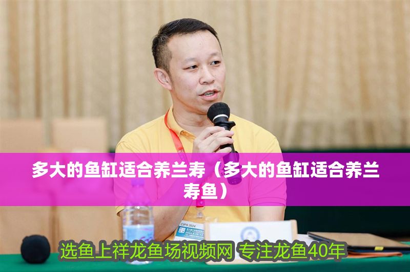 多大的魚(yú)缸適合養(yǎng)蘭壽（多大的魚(yú)缸適合養(yǎng)蘭壽魚(yú)）