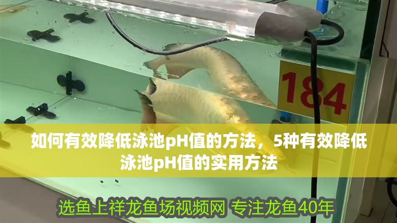 如何有效降低泳池pH值的方法，5種有效降低泳池pH值的實用方法