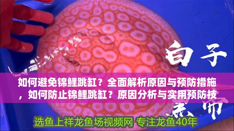 如何避免錦鯉跳缸？全面解析原因與預防措施，如何防止錦鯉跳缸？原因分析與實用預防技巧