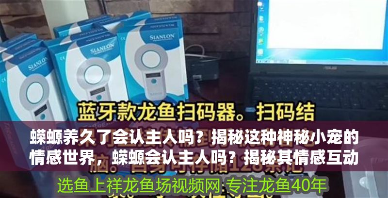 蠑螈養(yǎng)久了會(huì)認(rèn)主人嗎？揭秘這種神秘小寵的情感世界，蠑螈會(huì)認(rèn)主人嗎？揭秘其情感互動(dòng)與馴養(yǎng)奧秘