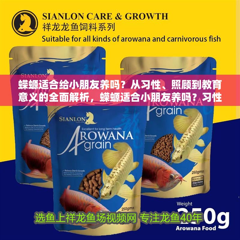 蠑螈適合給小朋友養嗎？從習性、照顧到教育意義的全面解析，蠑螈適合小朋友養嗎？習性、照顧與教育價值全解析 蠑螈適合給小朋友養嗎？從習性、照顧到教育意義的全面解析，蠑螈適合小朋友養嗎？習性、照顧與教育價值全解析 龍魚百科 第1張