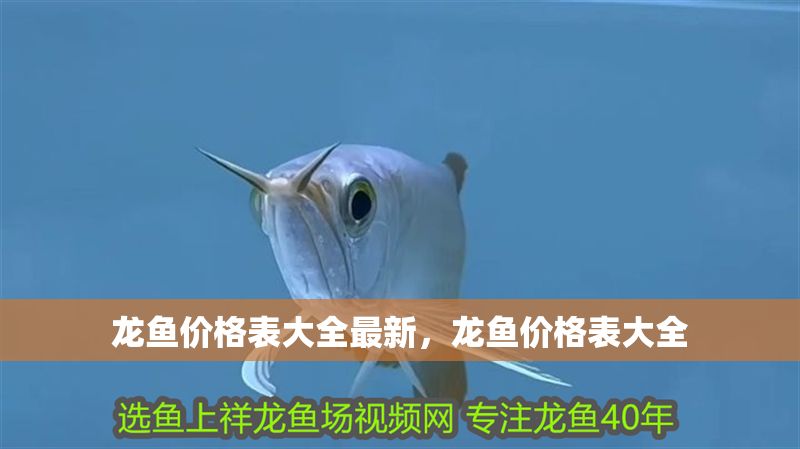 龍魚(yú)價(jià)格表大全最新，龍魚(yú)價(jià)格表大全