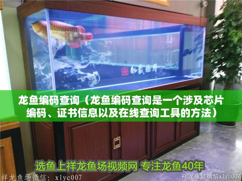 龍魚編碼查詢（龍魚編碼查詢是一個(gè)涉及芯片編碼、證書信息以及在線查詢工具的方法） 龍魚編碼查詢（龍魚編碼查詢是一個(gè)涉及芯片編碼、證書信息以及在線查詢工具的方法） 龍魚百科 第2張