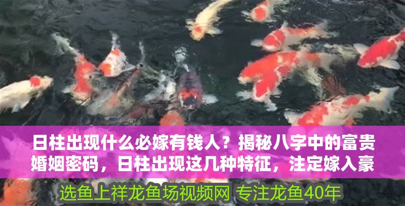 日柱出現什么必嫁有錢人？揭秘八字中的富貴婚姻密碼，日柱出現這幾種特征，注定嫁入豪門！八字富貴婚姻全解析 日柱出現什么必嫁有錢人？揭秘八字中的富貴婚姻密碼，日柱出現這幾種特征，注定嫁入豪門！八字富貴婚姻全解析 龍魚百科 第1張