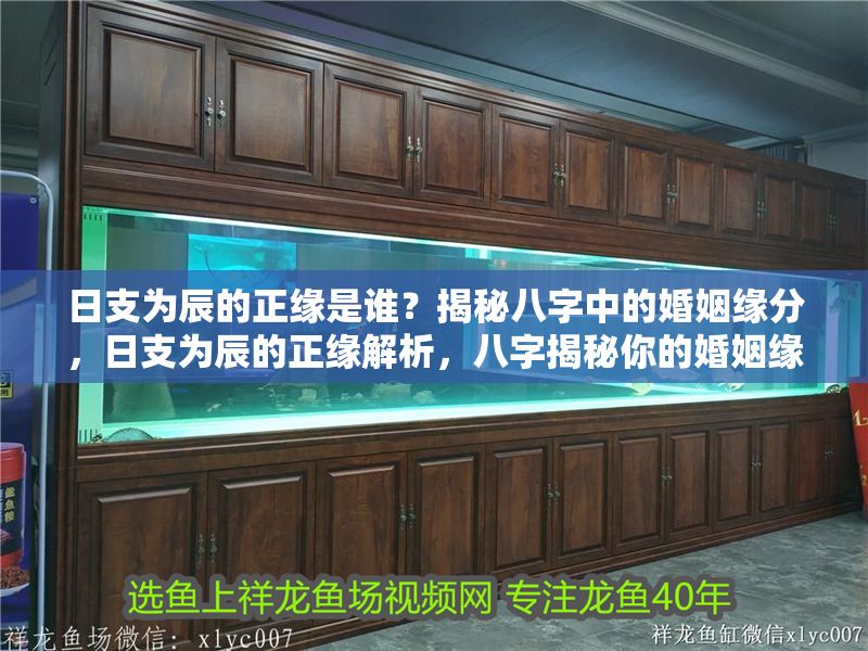 日支為辰的正緣是誰？揭秘八字中的婚姻緣分，日支為辰的正緣解析，八字揭秘你的婚姻緣分 日支為辰的正緣是誰？揭秘八字中的婚姻緣分，日支為辰的正緣解析，八字揭秘你的婚姻緣分 龍魚百科 第1張