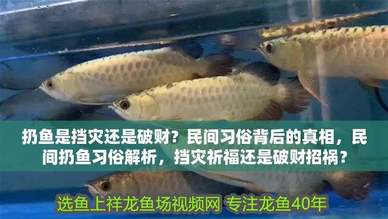 扔魚是擋災還是破財？民間習俗背后的真相，民間扔魚習俗解析，擋災祈福還是破財招禍？