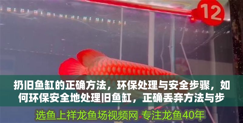 扔舊魚缸的正確方法，環(huán)保處理與安全步驟，如何環(huán)保安全地處理舊魚缸，正確丟棄方法與步驟指南