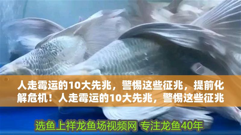 人走霉運的10大先兆，警惕這些征兆，提前化解危機！人走霉運的10大先兆，警惕這些征兆，提前化解危機！