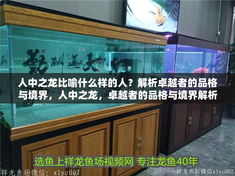 人中之龍比喻什么樣的人？解析卓越者的品格與境界，人中之龍，卓越者的品格與境界解析