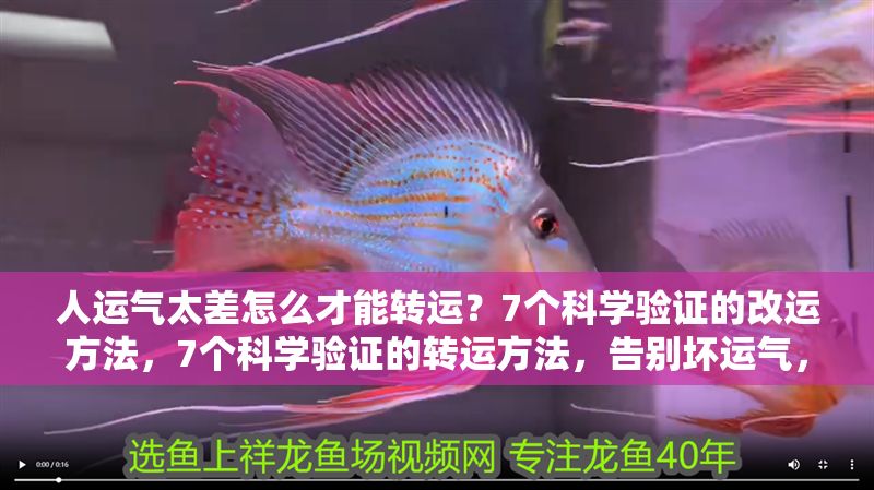 人運氣太差怎么才能轉運？7個科學驗證的改運方法，7個科學驗證的轉運方法，告別壞運氣，迎接新生活 人運氣太差怎么才能轉運？7個科學驗證的改運方法，7個科學驗證的轉運方法，告別壞運氣，迎接新生活 龍魚百科 第1張