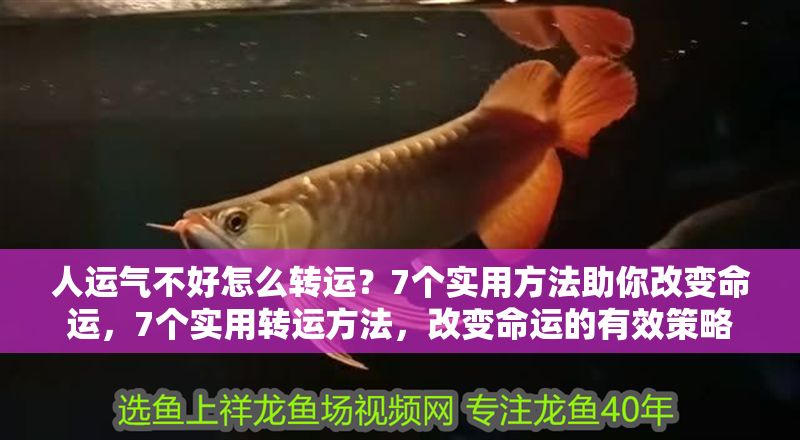 人運氣不好怎么轉運？7個實用方法助你改變命運，7個實用轉運方法，改變命運的有效策略 人運氣不好怎么轉運？7個實用方法助你改變命運，7個實用轉運方法，改變命運的有效策略 龍魚百科 第1張