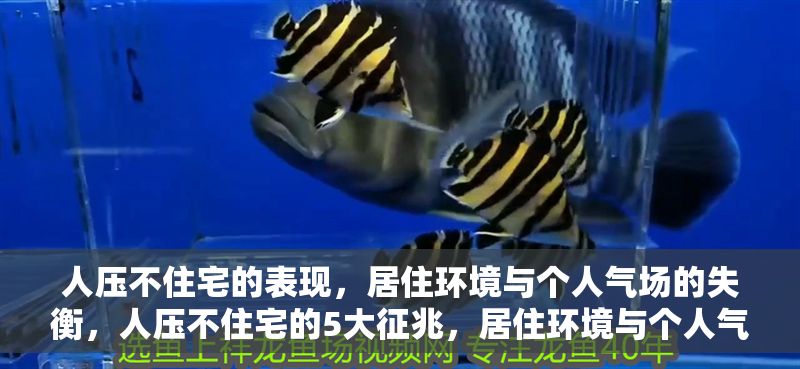 人壓不住宅的表現，居住環境與個人氣場的失衡，人壓不住宅的5大征兆，居住環境與個人氣場的失衡警示