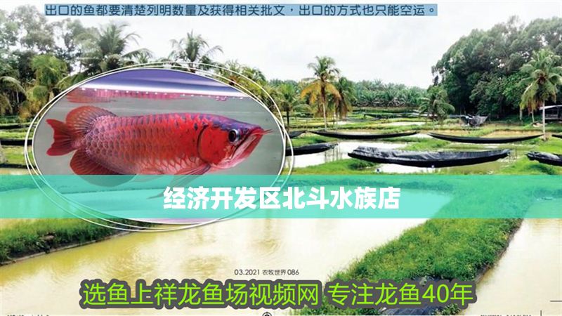 經濟開發區北斗水族店