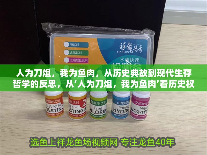 人為刀俎，我為魚肉，從歷史典故到現代生存哲學的反思，從‘人為刀俎，我為魚肉’看歷史權謀與現代生存智慧的辯證