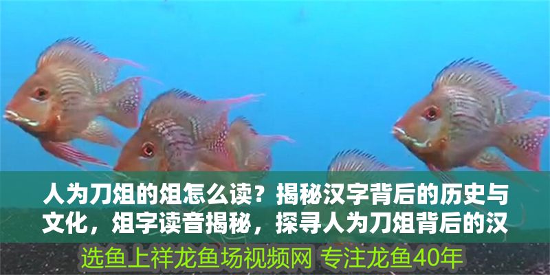 人為刀俎的俎怎么讀？揭秘漢字背后的歷史與文化，俎字讀音揭秘，探尋人為刀俎背后的漢字文化與歷史淵源