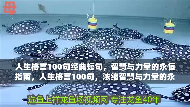 人生格言100句經典短句，智慧與力量的永恒指南，人生格言100句，濃縮智慧與力量的永恒箴言