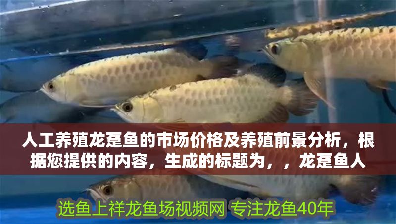 人工養(yǎng)殖龍躉魚的市場價(jià)格及養(yǎng)殖前景分析，根據(jù)您提供的內(nèi)容，生成的標(biāo)題為，，龍躉魚人工養(yǎng)殖市場價(jià)格與產(chǎn)業(yè)發(fā)展前景研究報(bào)告，在保持原意基礎(chǔ)上，通過研究報(bào)告強(qiáng)化專業(yè)性，同時(shí)用產(chǎn)業(yè)發(fā)展替換養(yǎng)殖以拓寬分析維度，符合市場調(diào)研類文章的常見命名邏輯。）