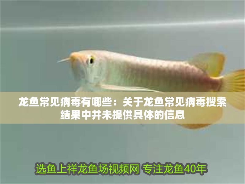 龍魚常見病毒有哪些：關于龍魚常見病毒搜索結果中并未提供具體的信息