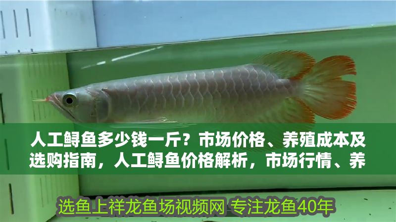 人工鱘魚多少錢一斤？市場(chǎng)價(jià)格、養(yǎng)殖成本及選購(gòu)指南，人工鱘魚價(jià)格解析，市場(chǎng)行情、養(yǎng)殖成本與選購(gòu)技巧