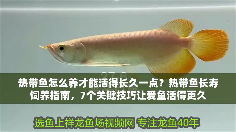 熱帶魚怎么養才能活得長久一點？熱帶魚長壽飼養指南，7個關鍵技巧讓愛魚活得更久 熱帶魚怎么養才能活得長久一點？熱帶魚長壽飼養指南，7個關鍵技巧讓愛魚活得更久 龍魚百科 第1張