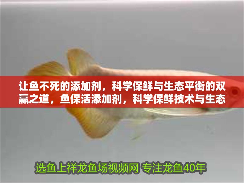 讓魚不死的添加劑，科學(xué)保鮮與生態(tài)平衡的雙贏之道，魚保活添加劑，科學(xué)保鮮技術(shù)與生態(tài)可持續(xù)的完美結(jié)合 讓魚不死的添加劑，科學(xué)保鮮與生態(tài)平衡的雙贏之道，魚保活添加劑，科學(xué)保鮮技術(shù)與生態(tài)可持續(xù)的完美結(jié)合 龍魚百科 第1張