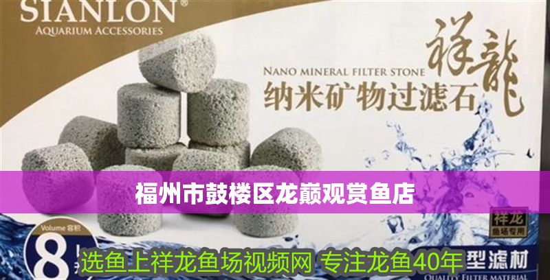 福州市鼓樓區(qū)龍巔觀賞魚店