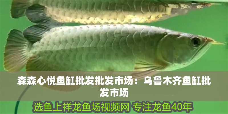 森森心悅魚缸批發批發市場：烏魯木齊魚缸批發市場