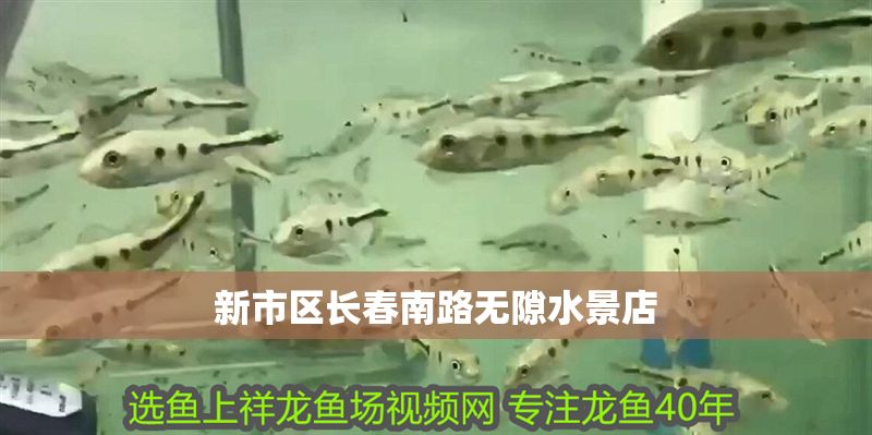 <strong><mark>新市</mark></strong>區長春南路無隙水景店