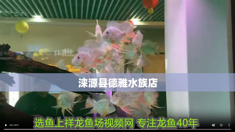 淶源縣德雅水族店
