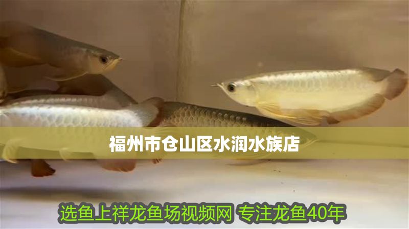 福州市倉山區(qū)水潤(rùn)水族店