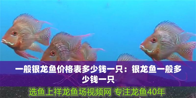 一般銀龍魚(yú)價(jià)格表多少錢(qián)一只：銀龍魚(yú)一般多少錢(qián)一只 一般銀龍魚(yú)價(jià)格表多少錢(qián)一只：銀龍魚(yú)一般多少錢(qián)一只 龍魚(yú)百科 第2張