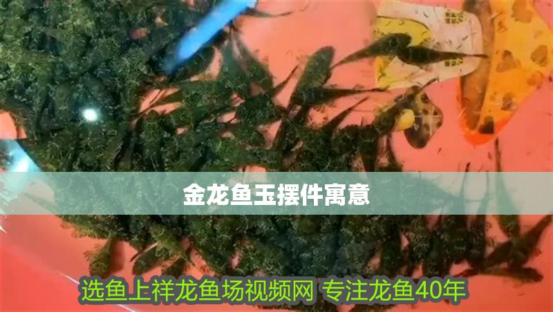 金龍魚玉擺件寓意