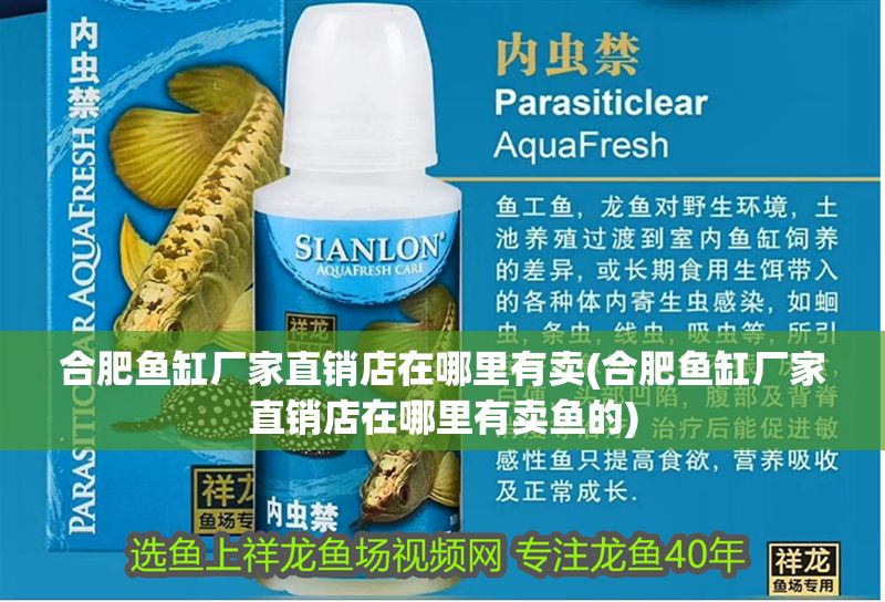 合肥魚缸廠家直銷店在哪里有賣(合肥魚缸廠家直銷店在哪里有賣魚的)