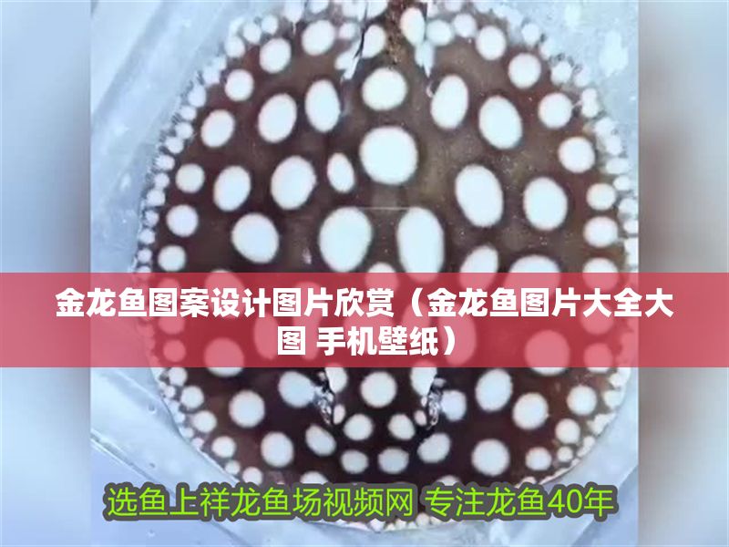 金龍魚圖案設計圖片欣賞（金龍魚圖片大全大圖 手機壁紙） 金龍魚圖案設計圖片欣賞（金龍魚圖片大全大圖 手機壁紙） 龍魚百科 第1張