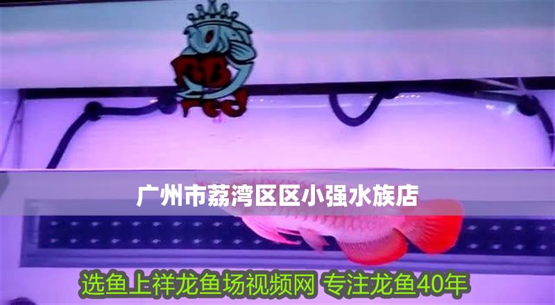 廣州市荔灣區區小強水族店