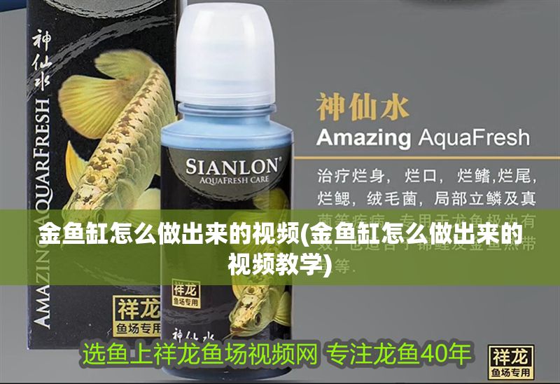 金魚缸怎么做出來的視頻(金魚缸怎么做出來的視頻教學) 金魚缸怎么做出來的視頻(金魚缸怎么做出來的視頻教學) 龍魚百科 第1張