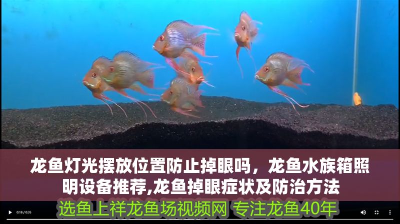 龍魚燈光擺放位置防止掉眼嗎，龍魚水族箱照明設備推薦,龍魚掉眼癥狀及防治方法