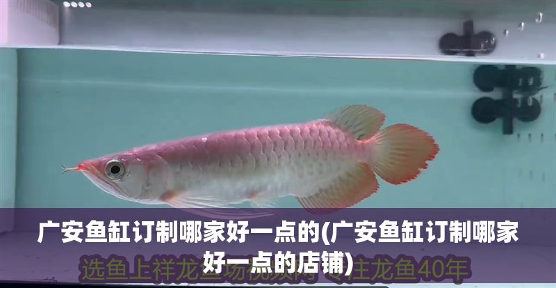 廣安魚缸訂制哪家好一點的(廣安魚缸訂制哪家好一點的店鋪)