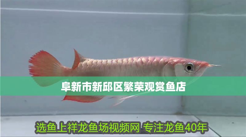 阜新市新邱區繁榮觀賞魚店