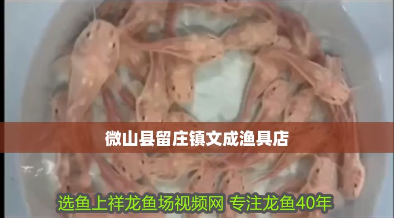 微山縣留莊鎮(zhèn)文成漁具店